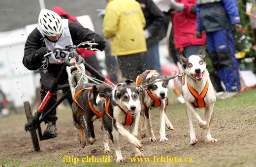 Rastede 08 - 1670.jpg